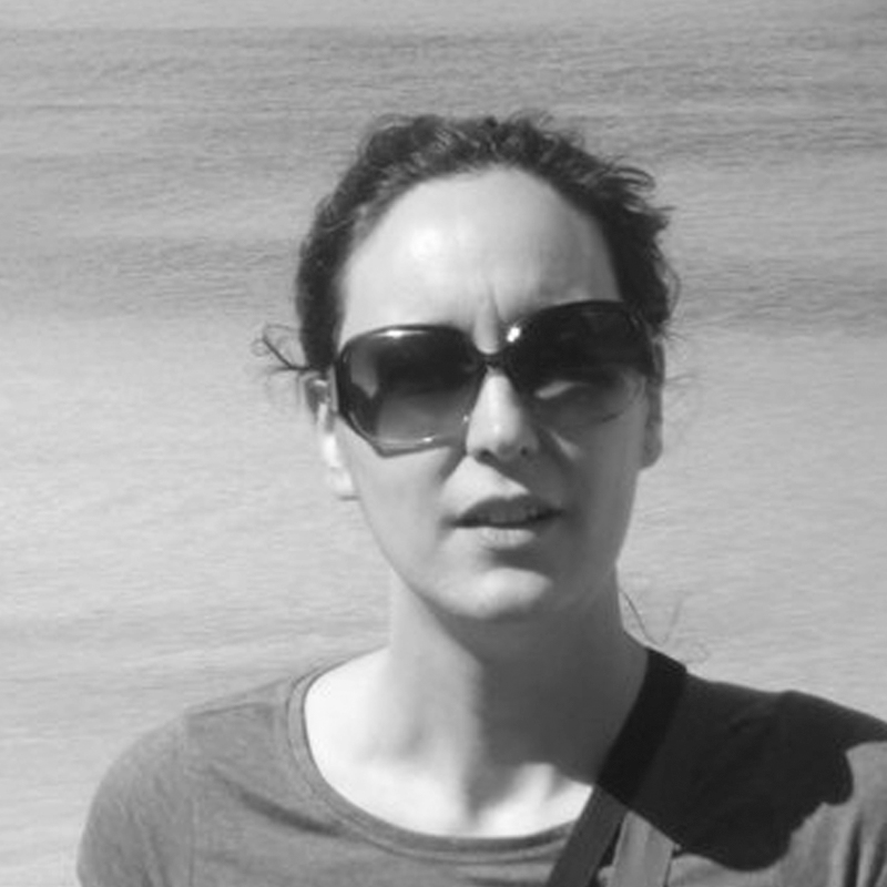 Dr. Lourdes Santisteban